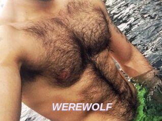 WEREWOLF