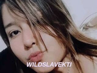 WILDSLAVEKTI