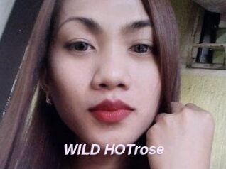 WILD_HOTrose