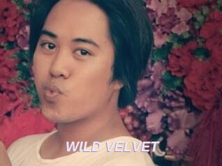 WILD_VELVET