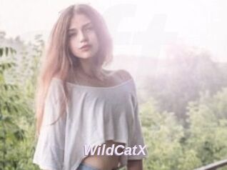 Wild_CatX
