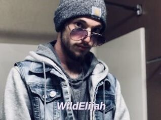 WildElijah