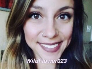 WildFlower023