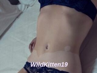 Wild_Kitten19