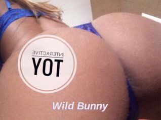 Wild_Bunny_