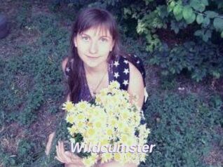 Wildcumster
