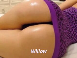 Willow_