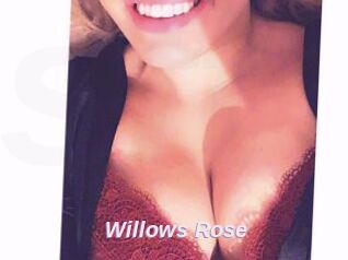 Willows_Rose