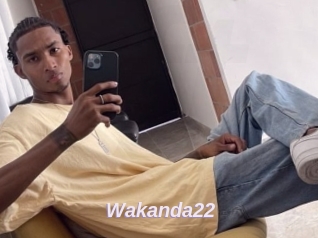 Wakanda22