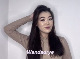 Wandadrye