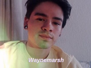 Waynemarsh