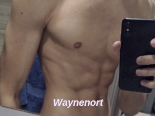 Waynenort