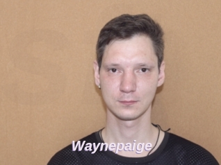 Waynepaige
