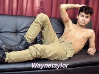 Waynetaylor