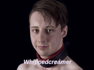 Whippedcreamer