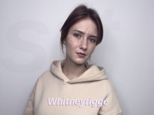 Whitneyfigge