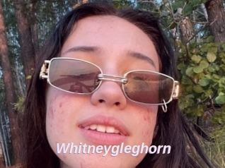 Whitneygleghorn