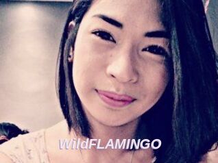 WildFLAMINGO
