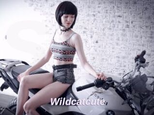 Wildcatcute