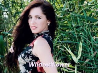 Wildredflower