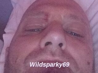 Wildsparky69