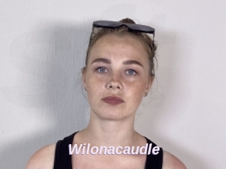 Wilonacaudle
