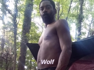 Wolf