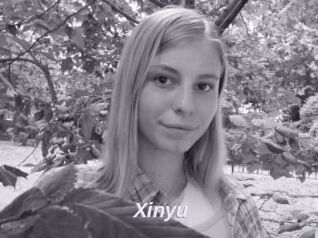 Xinyu