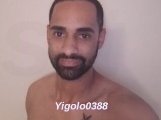 Yigolo0388