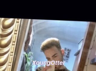 YoungOtter