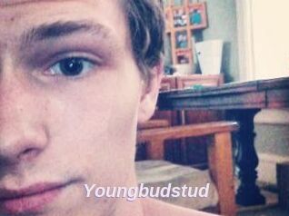 Youngbudstud