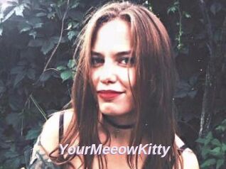 YourMeeowKitty