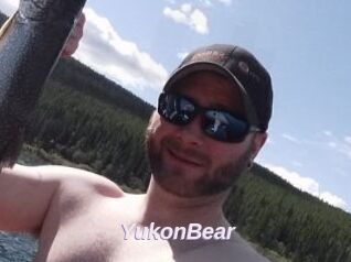 YukonBear