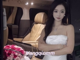 Yangqinmm