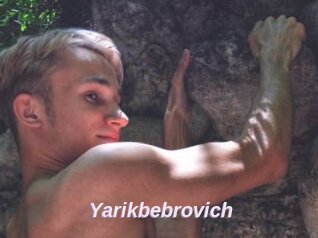 Yarikbebrovich