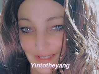 Yintotheyang