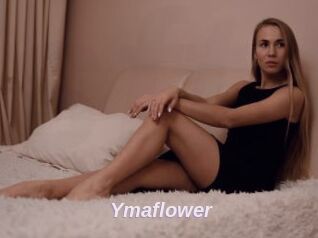 Ymaflower