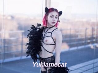 Yukiamecat