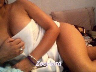 Zoeybird