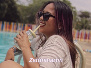 Zattinmartin