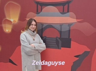 Zeldaguyse