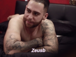 Zeusb