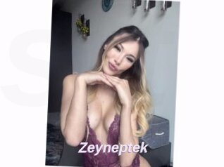 Zeyneptek