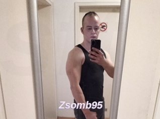 Zsomb95
